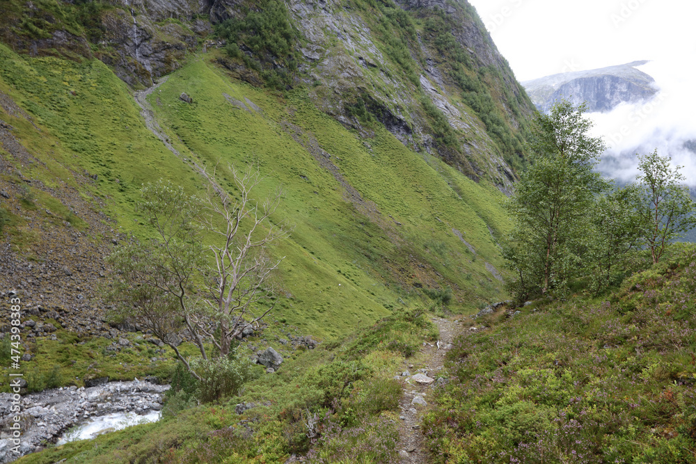 Norwegen - Landschaft nahe Fresvik / Norway - Landscape near Fresvik /.