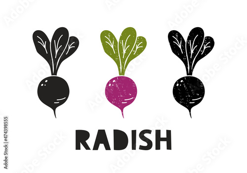 Radish, silhouette icons set with lettering. Imitation of stamp, print with scuffs. Simple black shape and color vector illustration. Hand drawn isolated elements on white background
