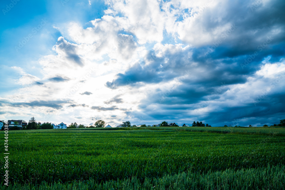 Fototapeta premium Green fields of nature landscape with dramatic thunderstorm sky and dark clouds in summer season