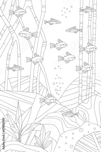 swimming school of little fish among roots of mangrove above of