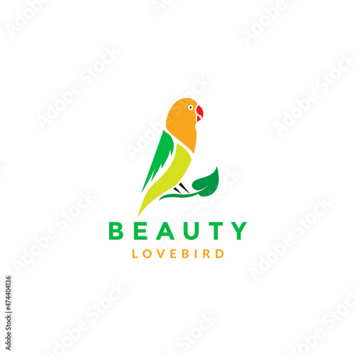 abstract colorful bird lovebird logo symbol icon vector graphic design illustration idea creative