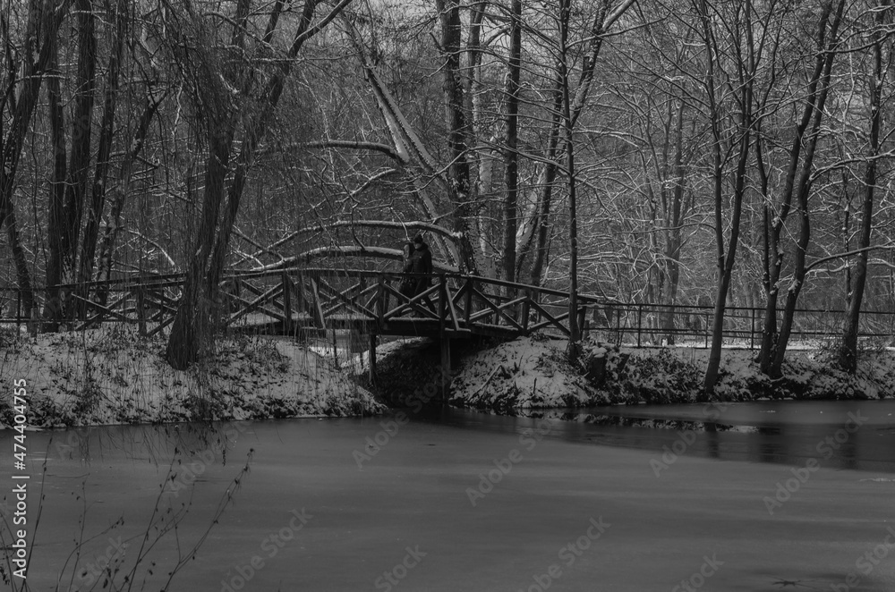 Winter in the park Poznan Poland