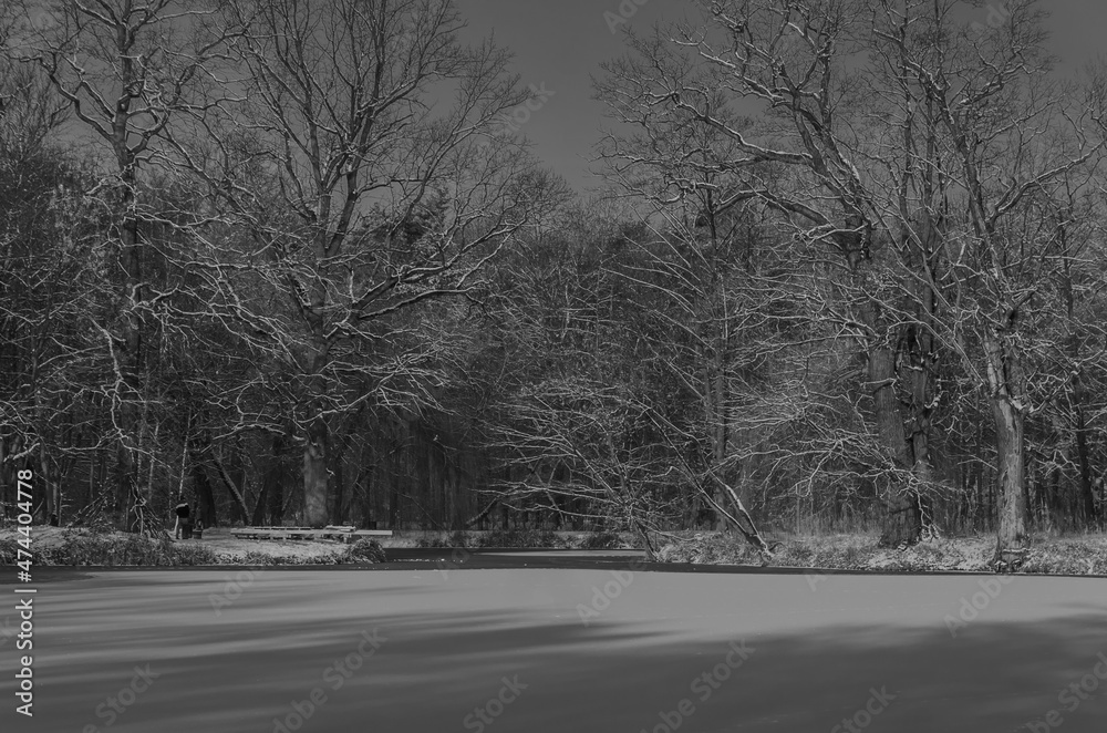 Winter in the park Poznan Polska Europa 2021
