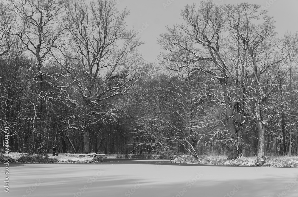 Winter in the park Poznan Polska Europa 2021