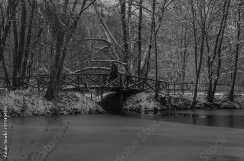 Obraz na płótnie Winter in the park Poznan Poland w salonie