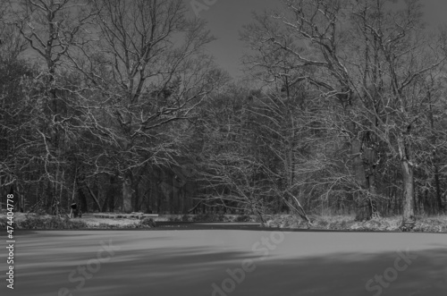 Obraz na płótnie Winter in the park Poznan Polska Europa 2021 w salonie
