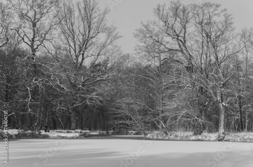 Obraz na płótnie Winter in the park Poznan Polska Europa 2021 w salonie