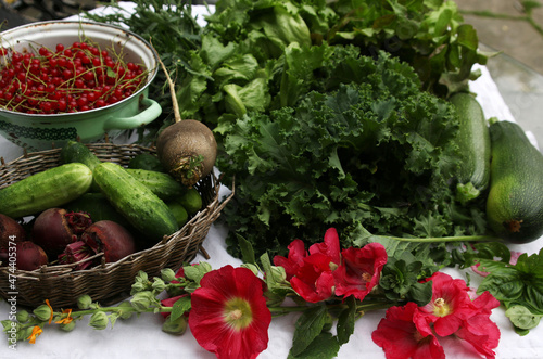 świeże organicznie warzywa plony ogród pożywienie © Lula4ever