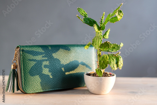 Concept of cactus leather, sustainable leather alternative made from Opuntia Cactus plant. Green eco-leather woman bag or wallet and a cactus in a flower pot. Innovative vegan leather, save the planet photo