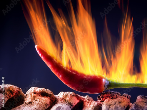 Eine reife, scharfe Frucht einer Chili Pflanze scheint zu brennen. Der Hintergrund ist schwarz.