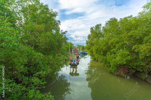 Fishing Boat Anchored among Mangrove Forest