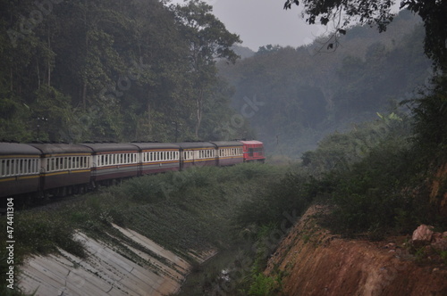 Thai train in the morning mist