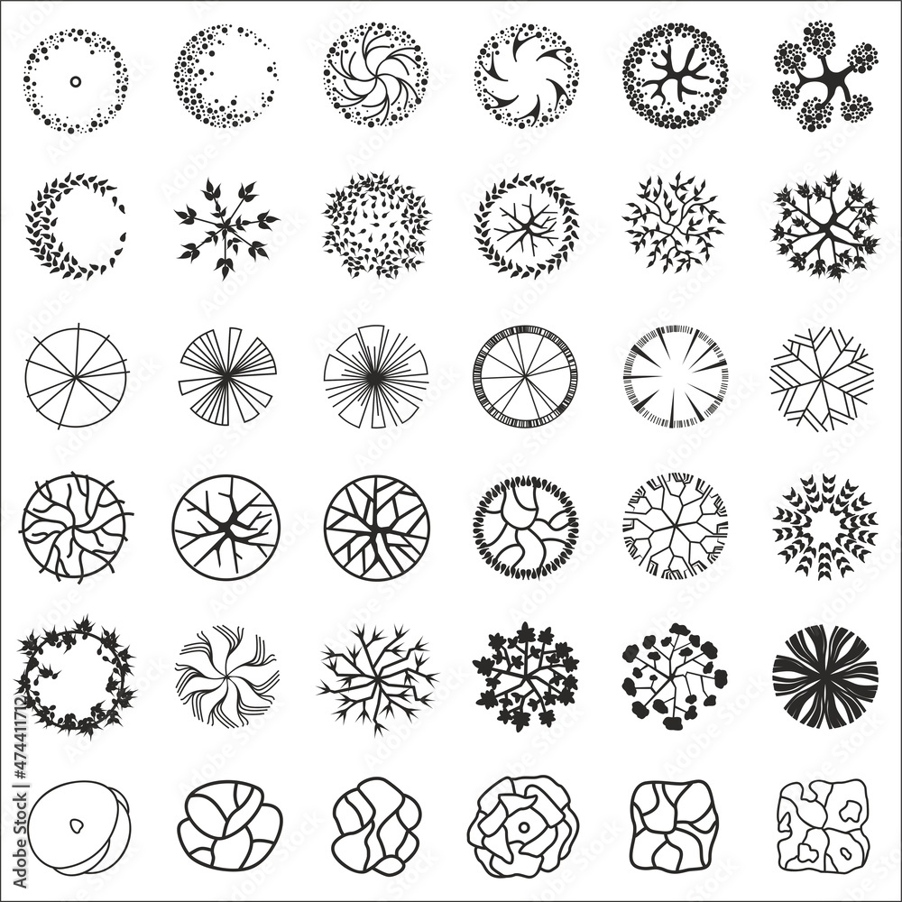 Trees for the master plan. Tree plans for architectural floor plans or