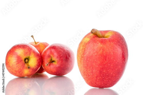 Several ripe red apples, close-up, isolated on white.