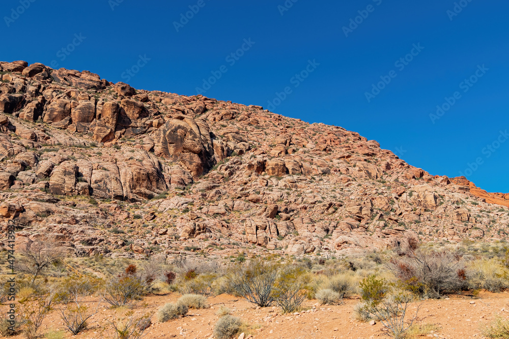 Fototapeta premium Sunny view of the landscape in Calico Basin Trail