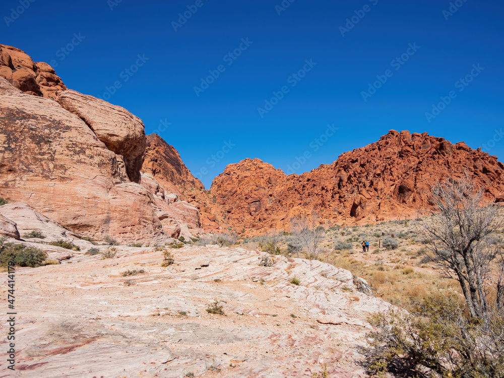 Sunny view of the landscape in Calico Basin Trail Sunny view of the landscape in Calico Basin Trail