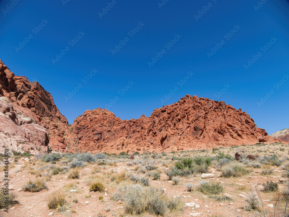 Fototapeta premium Sunny view of the landscape in Calico Basin Trail