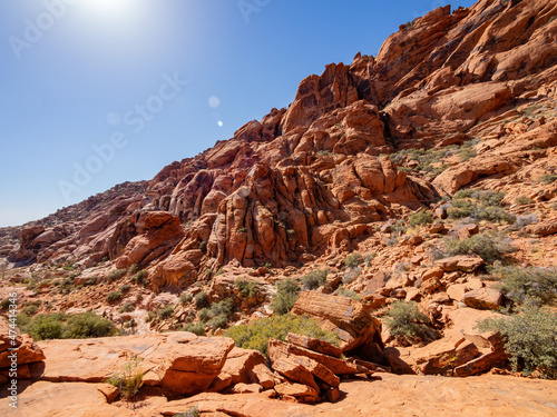 Sunny view of the landscape in Calico Basin Trail