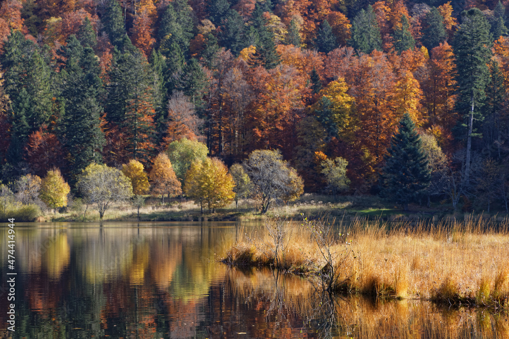 étang des Vosges en automne