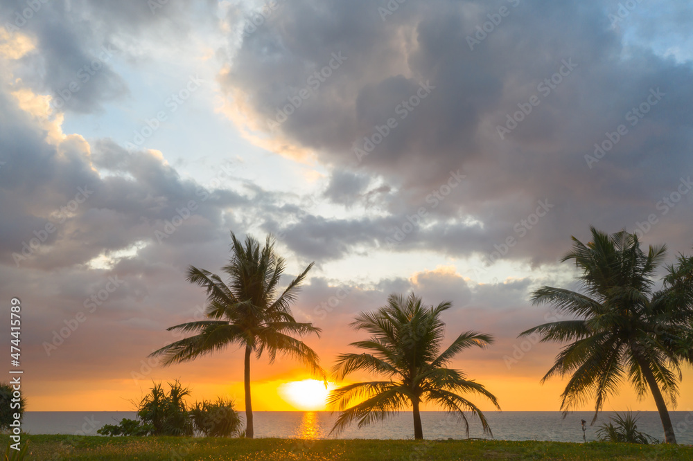aerial view scenery sunset above coconut trees during colorful .cloud in sunset on Karon beach Phuket Thailand. Scene of Colorful light in the sky background.
