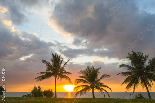 aerial view scenery sunset above coconut trees during colorful .cloud in sunset on Karon beach Phuket Thailand. Scene of Colorful light in the sky background. © Narong Niemhom