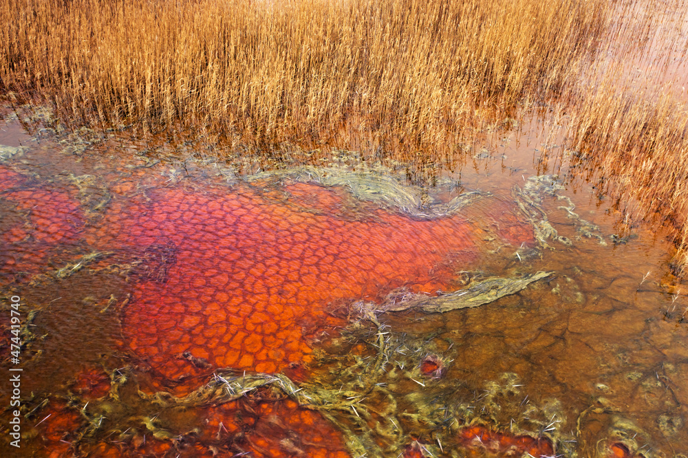 The reservoir is contaminated with chemicals and heavy metals. Drone view. Multicolored water. The reservoir is contaminated with chemicals and heavy metals. Drone view. Multicolored water.
