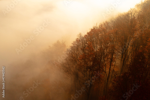 Autumn forest at dawn on a mountain slope. Long shadows from the trees.