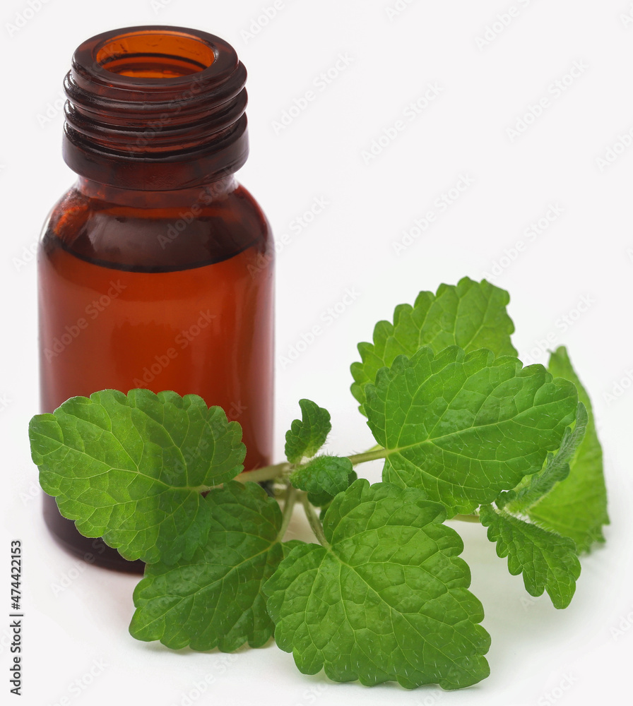Lemon balm with essential oil Lemon balm with essential oil