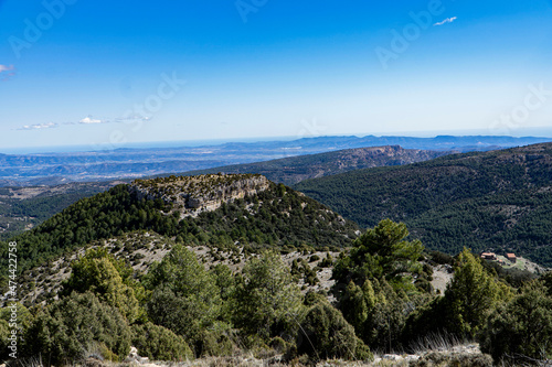 Mountain with rocks and threes