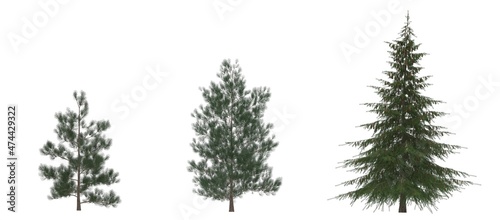 Green Pine  christmas tree isolated on white background. Banner design  3D illustration  cg render