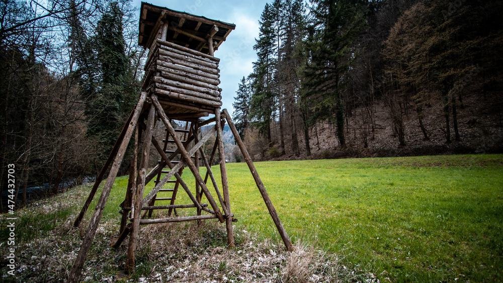 Naklejka premium Im Nordschwarzwald