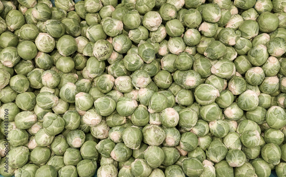 A close up of raw loose Brussels sprouts A close up of raw loose Brussels sprouts
