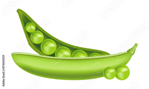 Fresh green peas concept vector food illustration