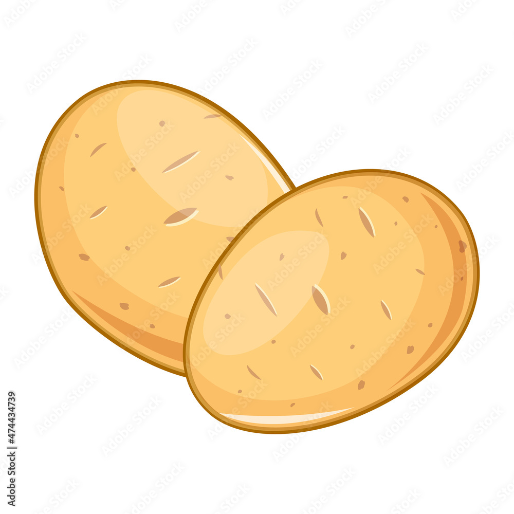 Potatoes concept illustration tuber food vector Potatoes concept illustration tuber food vector
