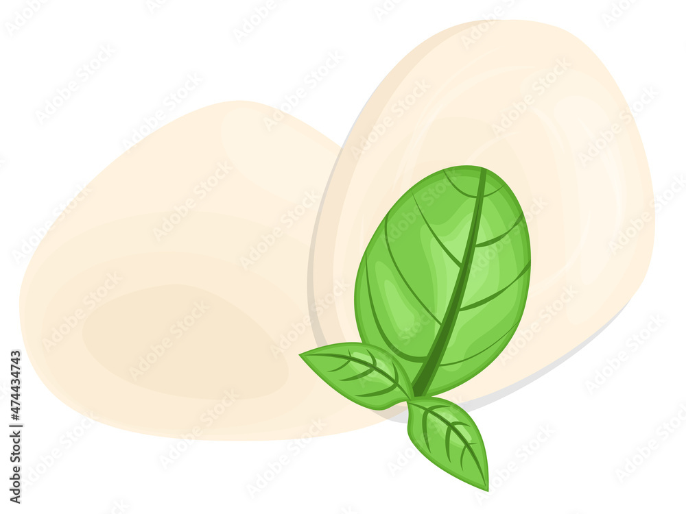 Cheese mozzarella buffalo concept food illustration dairy vector