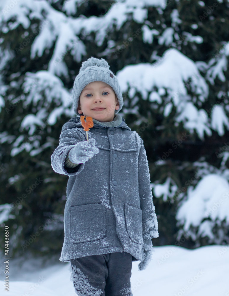 A little boy in a gray coat and a knitted hat holds a cockerel lollipop in his hand