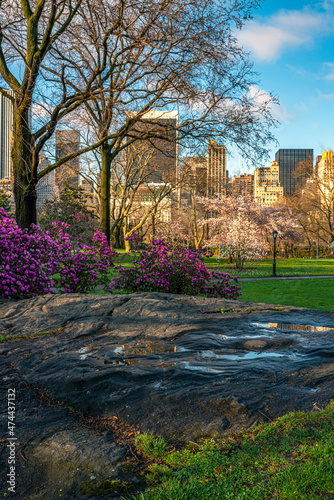 Central Park in spring photo