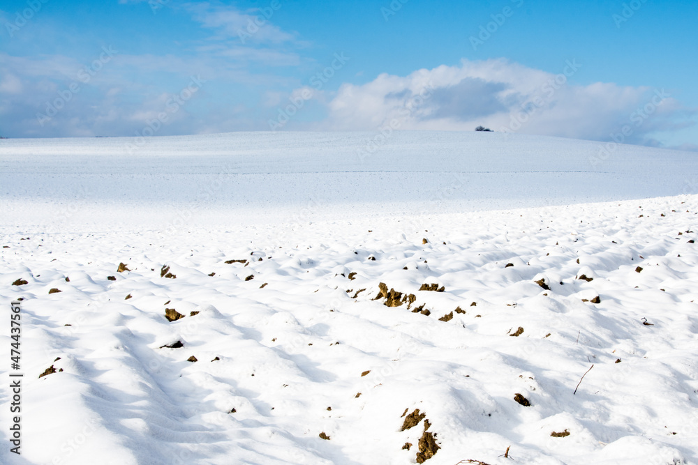 zima, pole pokryte śniegiem, niebieskie niebo, białe chmury - obrazy, fototapety, plakaty 