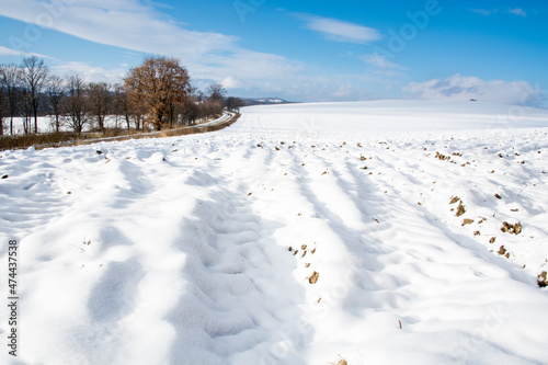 Fototapeta Naklejka Na Ścianę i Meble -  zima, pole pokryte śniegiem, niebieskie niebo, białe chmury