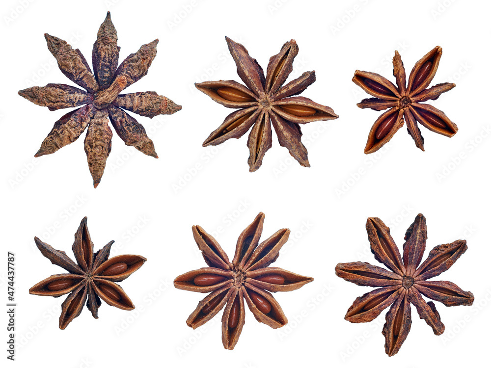 star anise isolated on white background