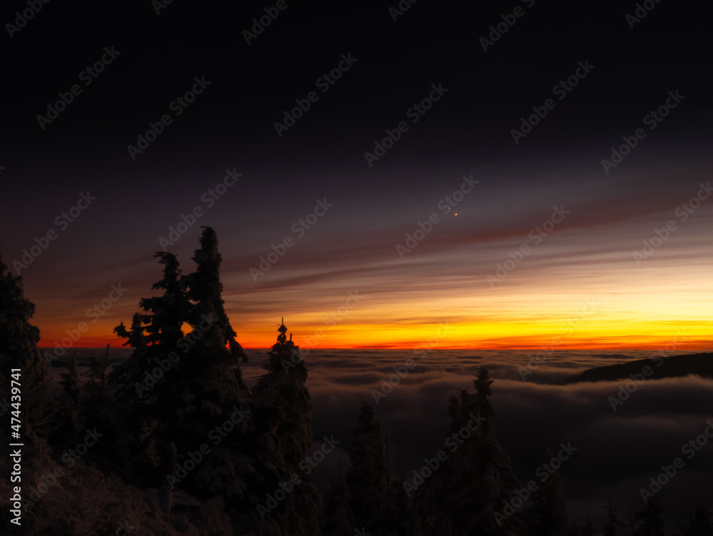 Scenic landscape with spruce trees covered with rime after sunset, view from a mounatin range to the valley filled with fog and low clouds during temperature inversion. Jeseniky.Czech republic. .