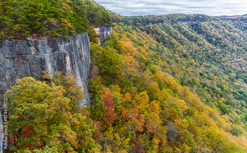 The Sandstone Cliffs of The Endless Wall Above The New River Gorge With Fall Foliage  New River Gorge National Park  West Virginia  USA