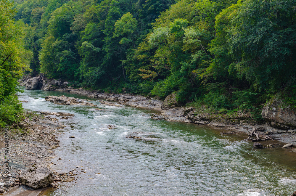 a fragment of a mountain river with a rocky bank and a dense impenetrable forest. a fragment of a mountain river with a rocky bank and a dense impenetrable forest.