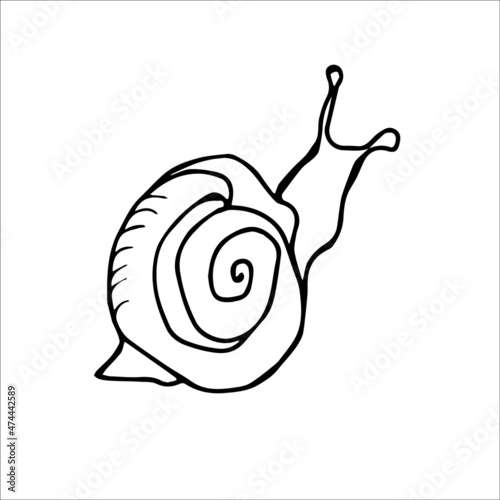 snail with a cartoon handdrawn style