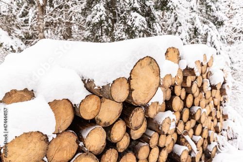 Stack of wooden logs in winter snow with forest background photo