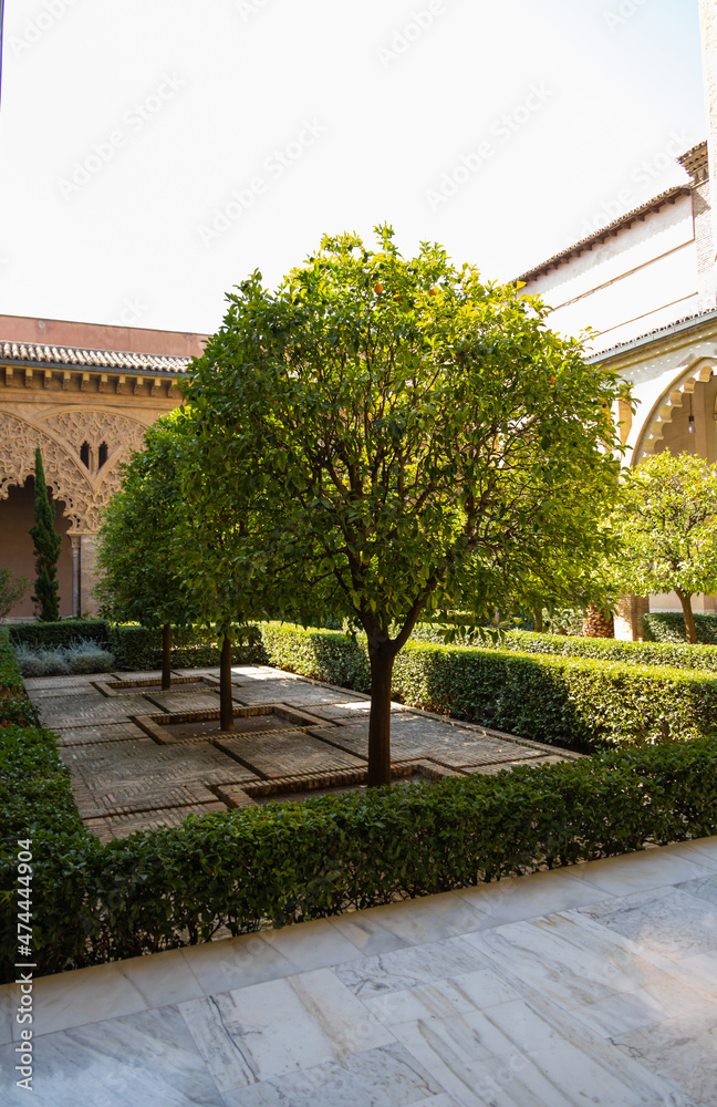  large historic aljafería palace in saragossa spain on a warm sunny day inside