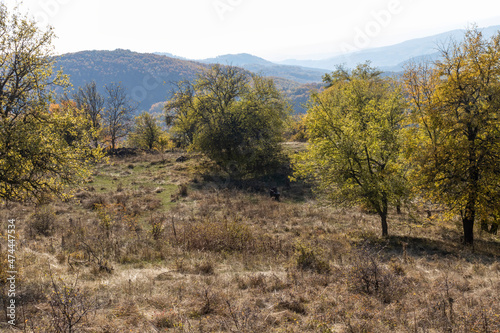 Autumn Landscape of Erul mountain near Kamenititsa peak  Bulgaria