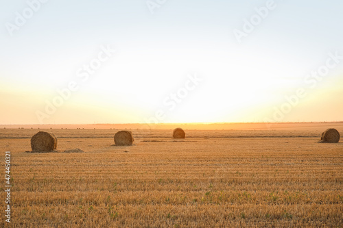 Harvested wheat field with hay bales