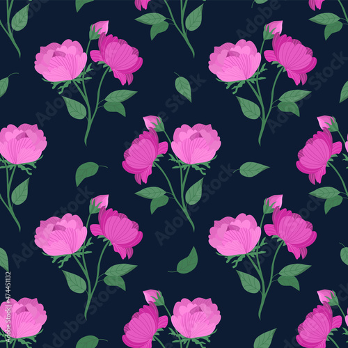 Vector seamless pattern with pink peonies on a dark background. Floral pattern with peonies. Floral print for printing on paper and fabric