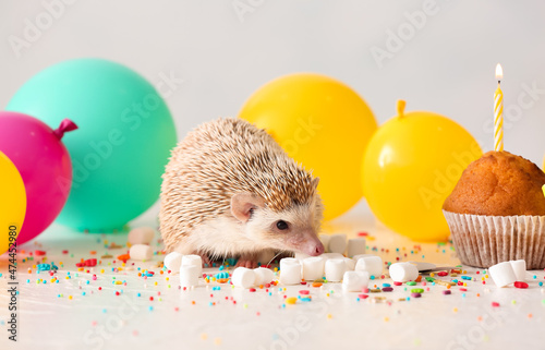 Cute hedgehog with air ball...